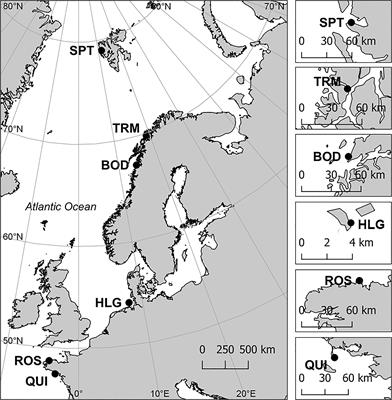 Microscopic Stages of North Atlantic Laminaria digitata (Phaeophyceae) Exhibit Trait-Dependent Thermal Adaptation Along Latitudes